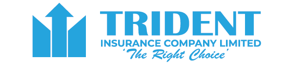 Trident Medistar Hospital.